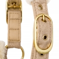 Kantar-Equestrian-Queen-Rotterdam3.jpg