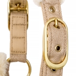 Kantar-Equestrian-Queen-Rotterdam3.jpg
