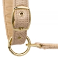 Kantar-Equestrian-Queen-Rotterdam.jpg