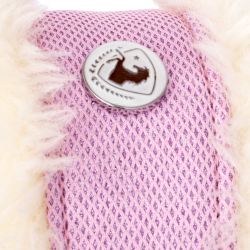 Kantar-Equestrian-Queen-Rotterdam6.jpg