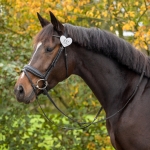 Numerek-startowy-QHP-Heart.jpg