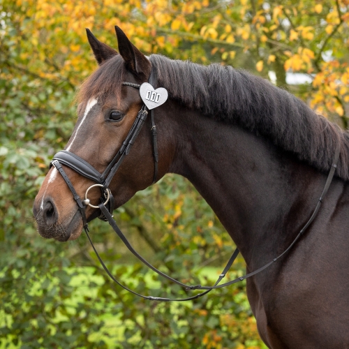 Numerek-startowy-QHP-Heart.jpg