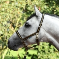 Dublin Halter Black Gold.jpg
