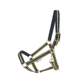 kantar-bucas-Dublin-Black-Gold.png