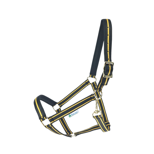 kantar-bucas-Dublin-Black-Gold.png