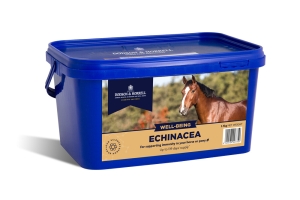 Echinacea Dodson & Horrell 1 kg