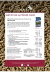 saracen-condition-improver-cubes-20kg-pasza-dla-koni-sportowych-slabo-przybierajacych-na-masie.jpg