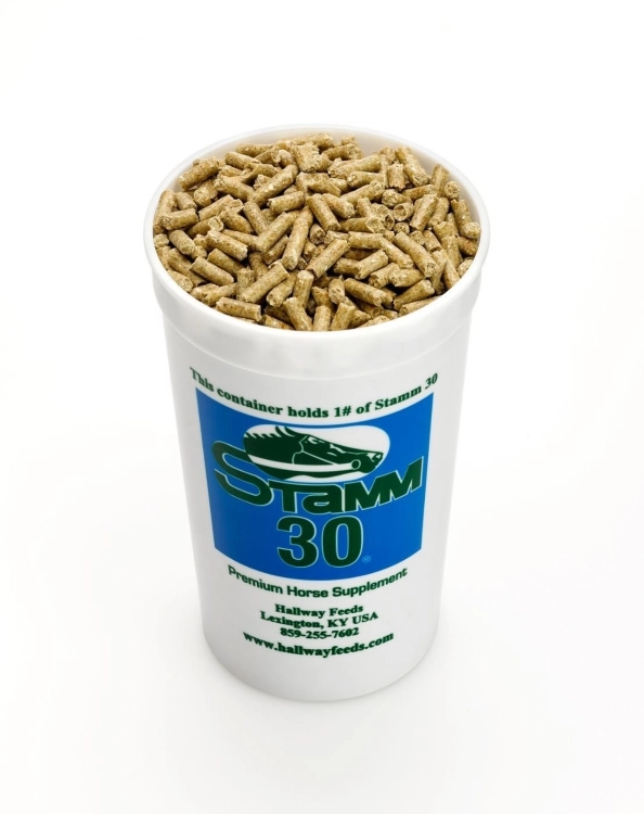 Stamm-30 (1).jpg
