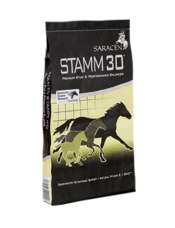 saracen-Stamm-30.png