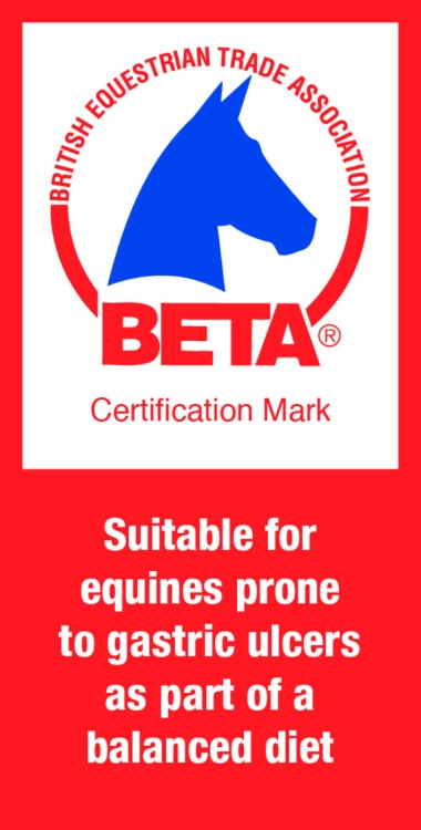 BETA-EGUS-logo-RED-BLUE.jpg