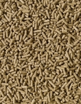 Saracen-Cubes.jpg