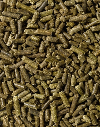 saracen-Alfalfa-Pellets.jpg