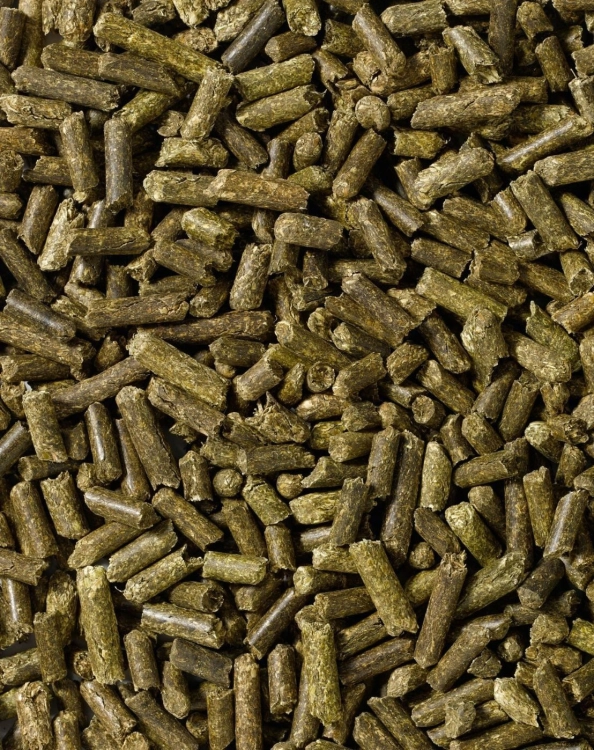 saracen-Alfalfa-Pellets.jpg