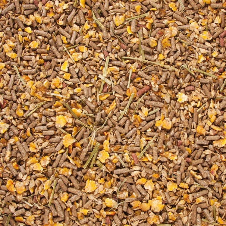 hoeveler-original-getreide-mix-gold-3.jpg