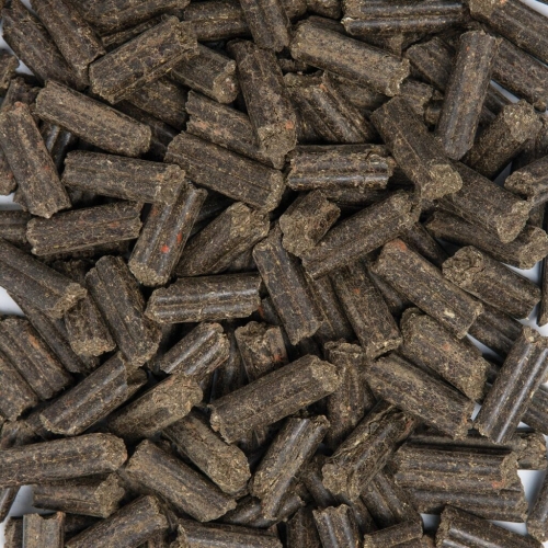 orginal-purstixx-rote-beete-burak-cwiklowy-1024x1024.jpg