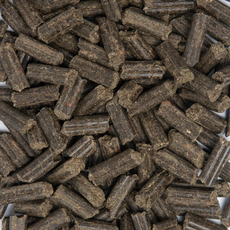 orginal-purstixx-rote-beete-burak-cwiklowy-1024x1024.jpg