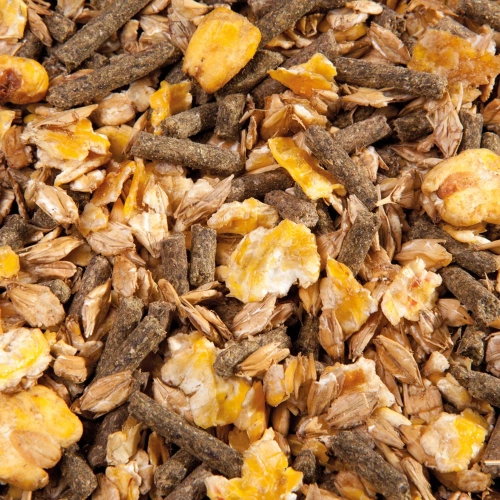 eggersmann-emh-cool-musli-pasza-dla-koni-nadpobudliwych.webp