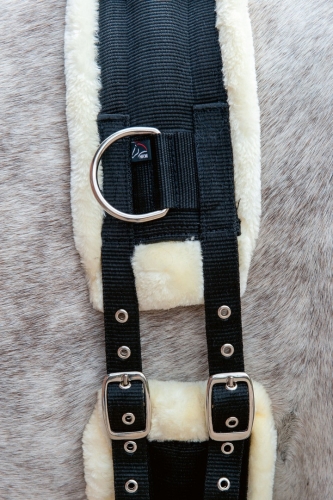 pas-do-lonzowania-hkm-comfort-teddy1.jpg