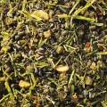eggersmann-e-vet-mucovital-prebiotic-musli-koni-z-wrzodami.webp