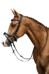 oglowie-hkm-anatomic3.jpg