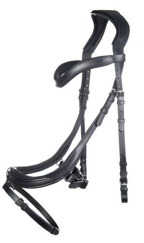 oglowie-hkm-anatomic1.jpg
