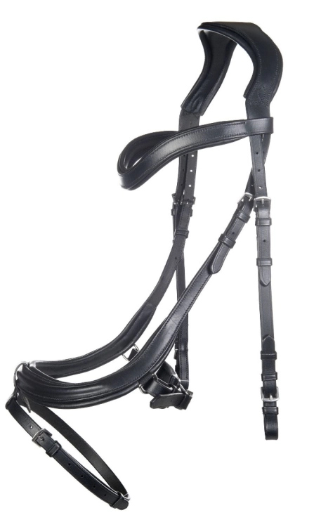 oglowie-hkm-anatomic1.jpg