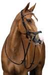 oglowie-hkm-anatomiczne-pro-anatomic.jpg