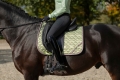 czaprak-hkm-golden-bit-jadeit5.jpg