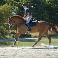 Oficerki-Kavalkade-Maximus-black-skora-gladka