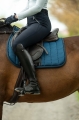 czaprak-wszechstronny-sportive-hkm1.jpg