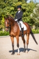 czaprak-hkm-dressage3.jpg