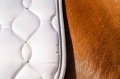czaprak-hkm-dressage5.jpg