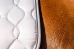 czaprak-hkm-dressage5.jpg