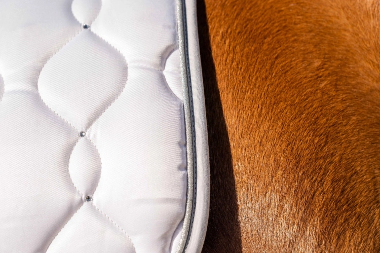 czaprak-hkm-dressage5.jpg