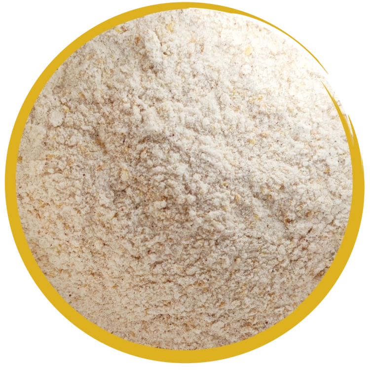 Biocell-senior-probiotyk-dla-koni.png
