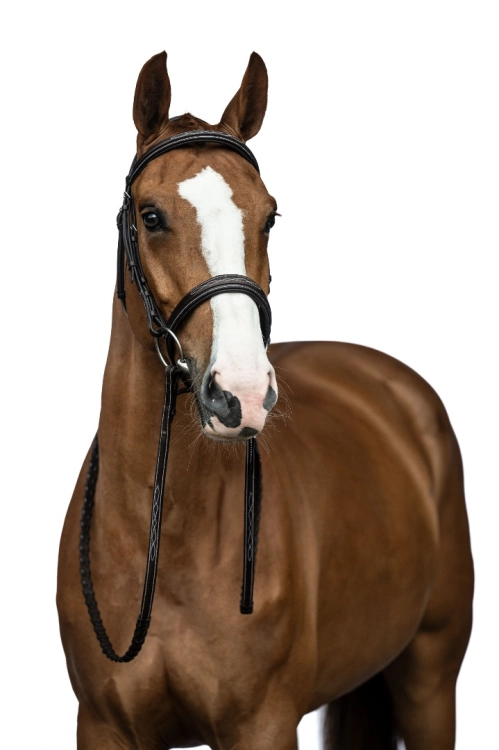 oglowie-hkm-hunter-2.jpg
