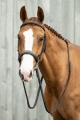 oglowie-hkm-hunter-2-13.jpg