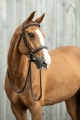 oglowie-hkm-hunter-2-12.jpg