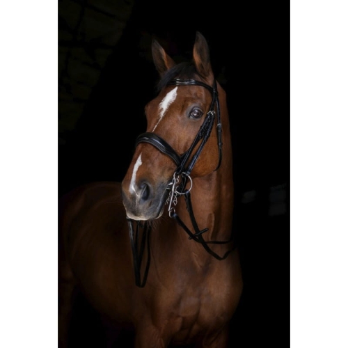eric-thomas-elite-bridle-reins-13-mm (1).jpg