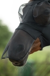 maska-hkm-elastic-czarna2.jpg