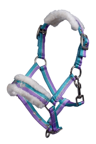 kantar-hkm-funny-horses3.jpg
