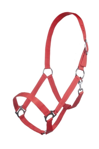 kantar-hkm-innsbruck6.jpg