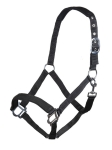 kantar-hkm-sydney9.jpg