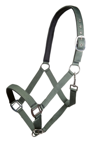 kantar-hkm-charming2.jpg
