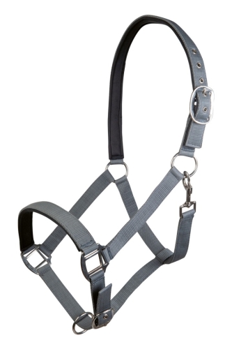 kantar-hkm-charming1.jpg