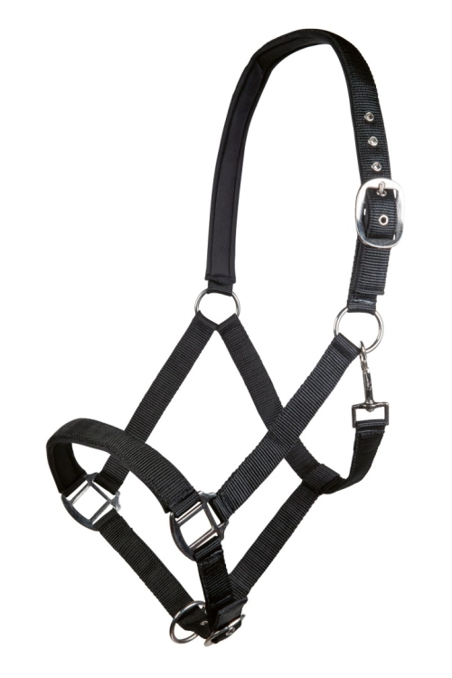 kantar-hkm-charming6.jpg