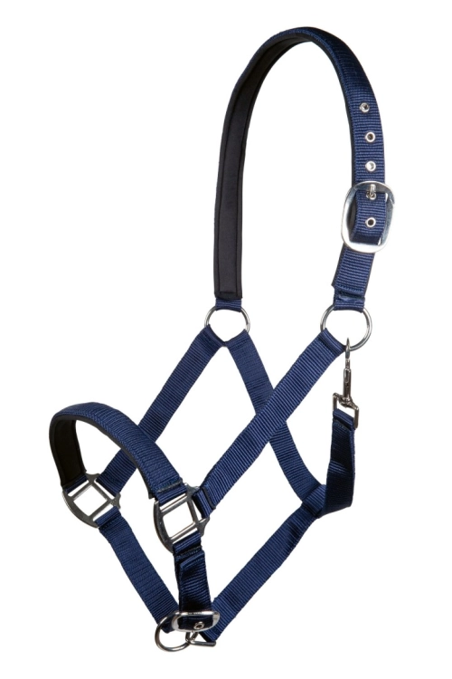 kantar-hkm-charming5.jpg