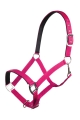 kantar-hkm-charming3.jpg