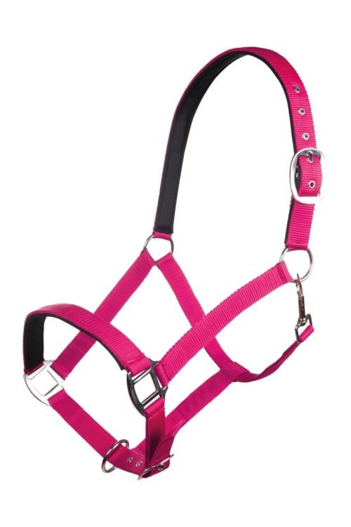 kantar-hkm-charming3.jpg