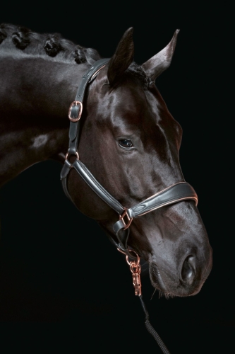 kantar-skorzany-hkm-rosegold2.jpg